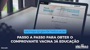 A vacina está disponível nos postos de vacinação do sus para os grupos prioritários definidos na campanha. Passo A Passo Para Obter O Comprovante Vacina Ja Educacao No Site Youtube