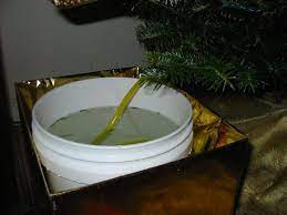 Make A Hidden Christmas Tree Watering System Christmas Tree Watering System Christmas Tree Water Christmas Tree Bucket