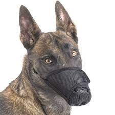 Pin On Dog Collars Harnesses Leashes