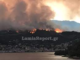 Πυροσβέστης δίνει νερό σε χελώνα μετά τη φωτιά στην αχαΐα. 1gcw66nkgpvcfm