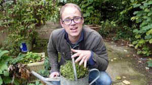 Maybe you would like to learn more about one of these? Protecting Plants From Frost How To Prevent Frost Damage The Old Farmer S Almanac