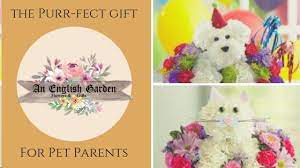 Maybe you would like to learn more about one of these? An English Garden Anenglishgarden Twitter