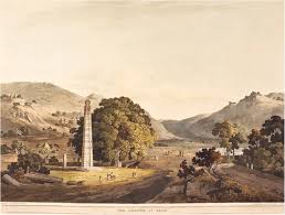 Image result for Gutenbergia rueppellii