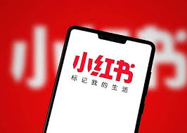 小紅書據報首季淨利潤升4倍盼赴港上市| on.cc 東網| LINE TODAY