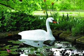 How to deter ducks from garden. Swan Decoy The Garden And Patio Home Guide