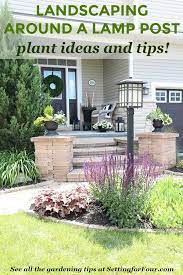 On aliexpress, you can shop for a wide range of quality picks at low prices. Learn Helpful Landscaping Tips And Tricks To Hide A Lamp Post In The Front Yard See The Types Of Plants Landscape Plans Light Post Landscaping Diy Landscaping