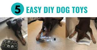 A homemade dog snuffle mat, diy chew toy, simple tennis ball treat … 5 Easy Diy Dog Toys To Make From Rubbish Canine Compilation