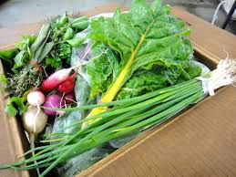 Image result for agriculture box