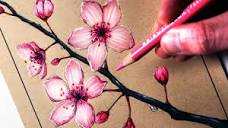 How to Draw Cherry Blossoms - YouTube