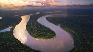 Elle traverse le brésil, la guyane française, l'équateur, le suriname, le pérou, le guyana et la colombie. L Amazonie Une Foret Tropicale En Danger Wwf France