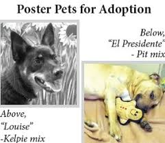 Maybe you would like to learn more about one of these? Pets Pets Pets Massapequa Post