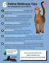 6 Ways To Keep Your Cat Healthy In 2015 Cat Care Cat Health Cat Health Care