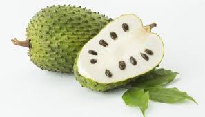 Selain menyembuhkan kanser, buah ini juga berfungsi sebagai anti bakteria, anti fungus , berkesan melawan berbagai jenis parasit dan cacing, menurunkan tekanan darah tinggi, kemurungan. Khasiat Buah Dan Daun Durian Belanda Soursop Untuk Melawan Kanser Islam Itu Indah