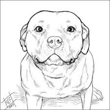 2010 04 28 01 51 33 Jpg Pitbull Art Pitbull Drawing Animal Drawings
