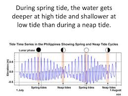 If you are a premium member, you have total access to our video. Why Are There Ocean Tides Every 6 Hours There Is Either A Low Tide Or A High Tide 2 Of Each Per Day Ppt Download