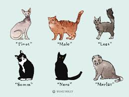 Foods that are toxic to cats and dogs. 25 Perfectly Fitting Wine Names For Cats Wine Folly