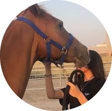 اجمل حصان في العالم 2013 صور الخيل horses golden horse animals