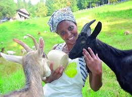 We strive to build vibrant communities indeed—doing beyond simply advising. Aov7zs52e6gnvm