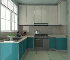 shocking kitchen cabinet design for