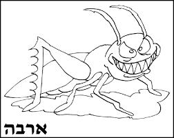 בטיפ הבא צבעי מסביר את כל השלבים להכנת הבית לצביעה. Https Yeladim Org Il Wp Content Uploads 2017 06 Hagada Mishelanu Pdf