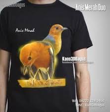 Untuk menjaga keseimbangan, kamu harus terus bergerak.. 30 Ide Kaos Burung Kaos Burung Gambar Burung