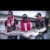 Explications et vidéo hors du commun pour ce record à couper le souffle. Record Du Monde Du Plus Gros Silure 2018 Netfishtv