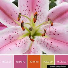 Pin On Color Palettes