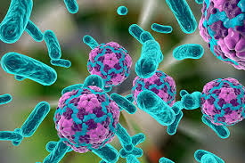 Hepatitis a is an infectious disease of the liver caused by hepatovirus a (hav); Hepatitis A Virus Hav Fda