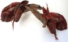 Wall Sculpture, Two Animal Heads: 'Gruff'