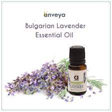 This Winter Get Rid Of Dandruff Problems Naturally By Using Lavender Essential Oil Lavender Oi Lavender Oil For Skin Lavender Benefits Lavender Essential Oil