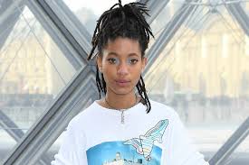 Willow Smith Admits She Watched Porn for the First Time Around 11
