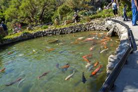 San Antonio Japanese Tea Garden Adrian S Photography San Antonio Japanese Tea Garden Tea Garden Japanese Garden