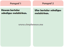 Berdasarkan bacaan tentang , temukan ide pokok dan kalimat pengembang setiap paragrafnya. Lengkap Kunci Jawaban Tematik Halaman 89 90 91 Kelas 6 Tema 1 Subtema 2 Pembelajaran 3 Simple News Kunci Jawaban Lengkap Terbaru
