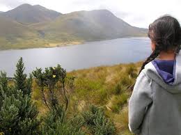 Aprende todo sobre el PARQUE NACIONAL LLANGANATES