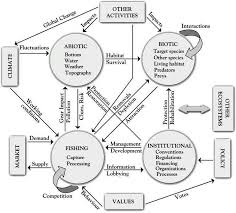 ecosystem diagram figure 1 simplified diagram of an