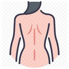 The breadth of the back is created by the shoulders at the top and the pelvis at the bottom. Back Female Icon Of Colored Outline Style Available In Svg Png Eps Ai Icon Fonts