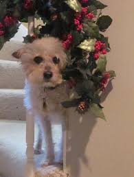 Not my post just Sharing if you know anything, please contact the original  post.