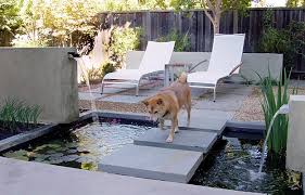 See more ideas about pet friendly yard, pets, cat garden. Fun For Dogs In The Garden Tips For Pet Friendly Garden Design Interior Design Ideas Ofdesign