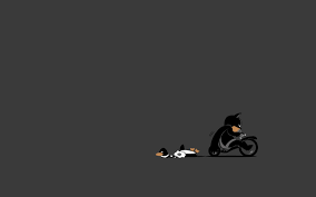 Funny cute dog, animals, hd, best. Awesome Funny Comics Free Wallpaper Id 211262 For Hd 1680x1050 Pc