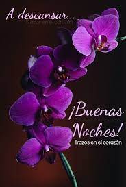 Pin En Buenas Noches