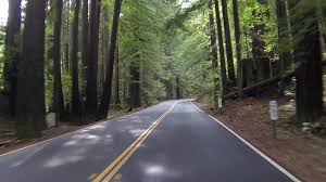 The trip takes about five hours if driven at a leisurely pace. Vacation Drive Through California Redwoo Stock Video Pond5