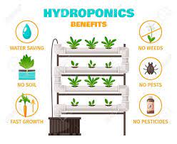 Hydroponics Benefits Concept With Water Saving And Fast Growth Symbols Cartoon Vector Illustration Illustration Sponso Hydroponics Growth Symbol Fast Growth
