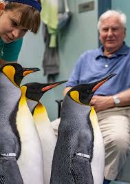 2 0 2 3 ANNU AL REPOR T BEYOND BOUNDARIES A YEAR OF INNOVATION