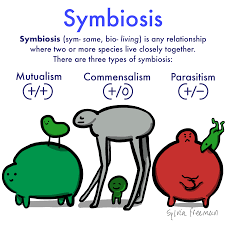 After you read and understand this chapter, you will able to define mutualism with ease. Symbiosis Definition Types Expii