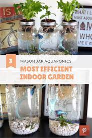 3 Mason Jar Aquaponics Kit Build Your Own Hydroponics Herb Garden Free Shipping Aquaponics Aquaponics Diy Backyard Aquaponics