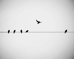 Modern Black And White Photography Prints Black And White Prints Bird Decor Black And White Photography Etsy Black And White Prints Wire Wall Art Black And White Birds