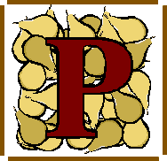Letter P Activities