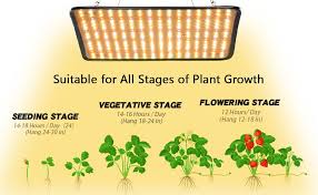 Maybe you would like to learn more about one of these? Amazon Com Grow Light Serwing 200w Led Grow Lights For Indoor Plants Full Spectrum Plant Growing Lamps For Hydroponics Greenhouse Seedling Flowering Fruiting 2 Pack Patio Lawn Garden