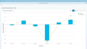 Cash Management Process Flow Chart In Sap