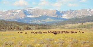 This stunning collection of images includes more than ninety hig. Tucker Smith B 1940 Blackfeet Country 1988 Sold At Auction On 29th July Bidsquare